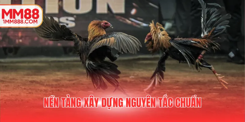 Nền tảng xây dựng nguyên tắc chuẩn